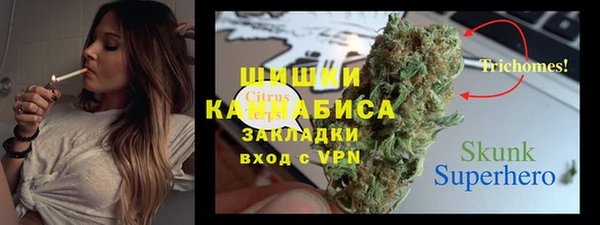 ПСИЛОЦИБИНОВЫЕ ГРИБЫ Ельня