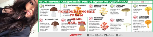 мдма Елизово