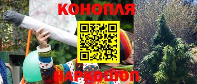 кокс Камышлов