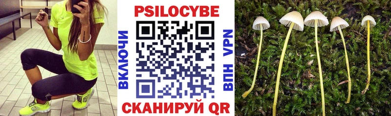 Галлюциногенные грибы Magic Shrooms  hydra сайт  Когалым  где купить  