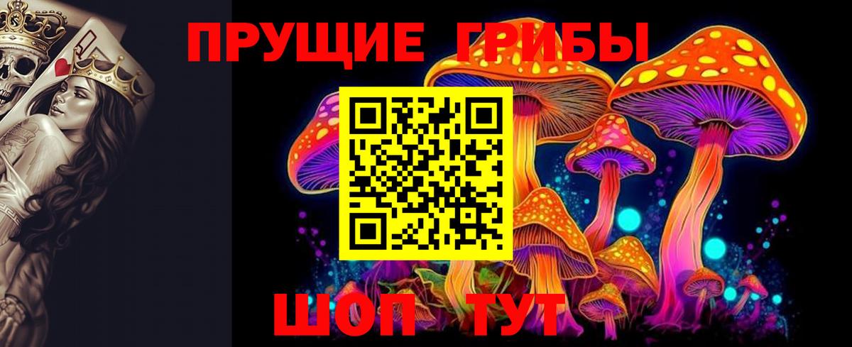 Когалым  Псилоцибиновые грибы Psilocybine cubensis  даркнет сайт  Вход с VPN 